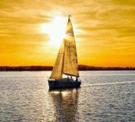 广州市xx网络科技工作室